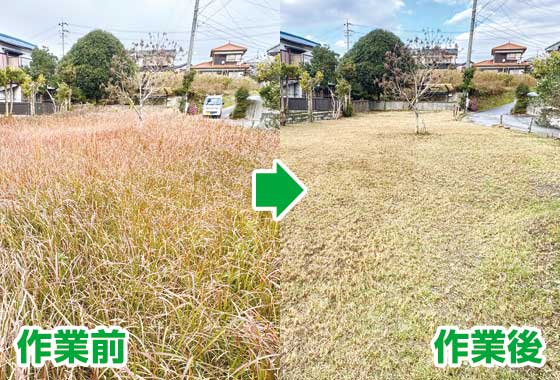草刈り作業の前と後の写真