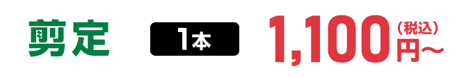 剪定1本：1,100円～（税込）