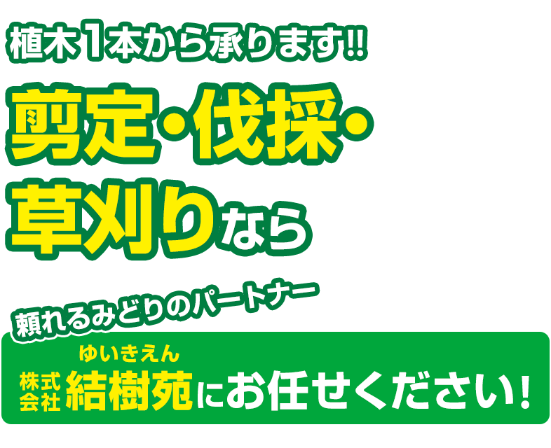 植木1本から承ります！！剪定・伐採・草刈りなら、株式会社結樹苑にお任せください！