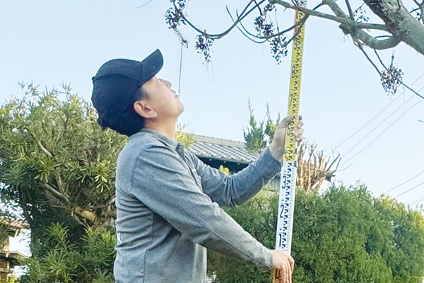 現地調査の様子