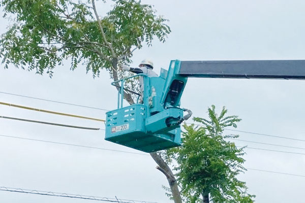 高所作業の様子