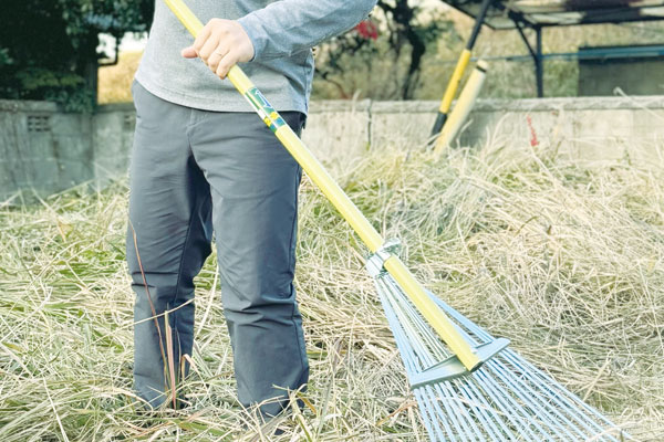 清掃作業の様子