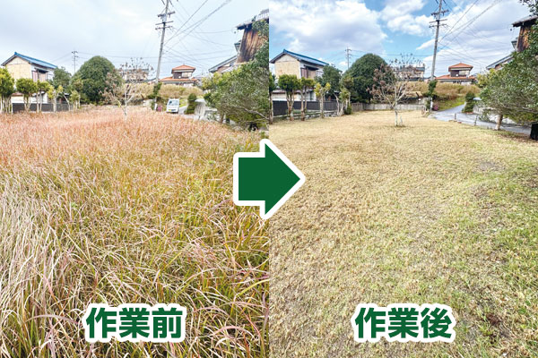 作業前と後の確認写真