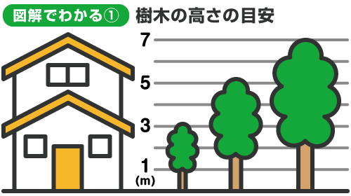図解でわかる1：樹木の高さの目安